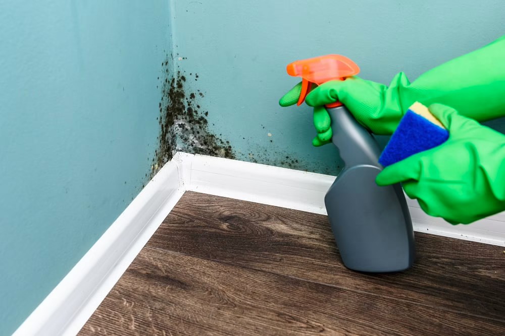 4 Ways to Prevent Moulds in Your Home