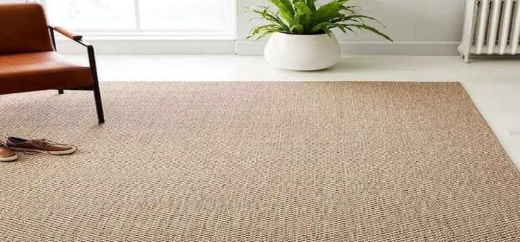 Why sisal carpets are a great option for dining rooms