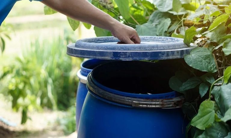 How to Prevent Mosquitoes Around Your Home